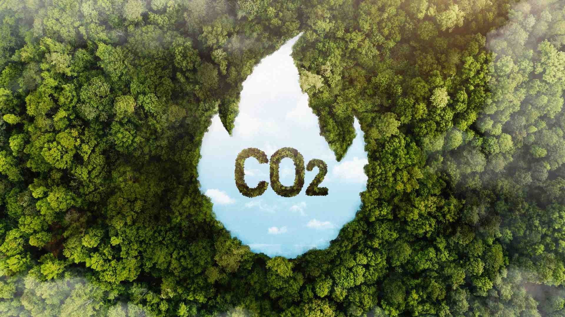 How to Reduce Your Carbon Footprint: Simple Steps for a Sustainable Lifestyle