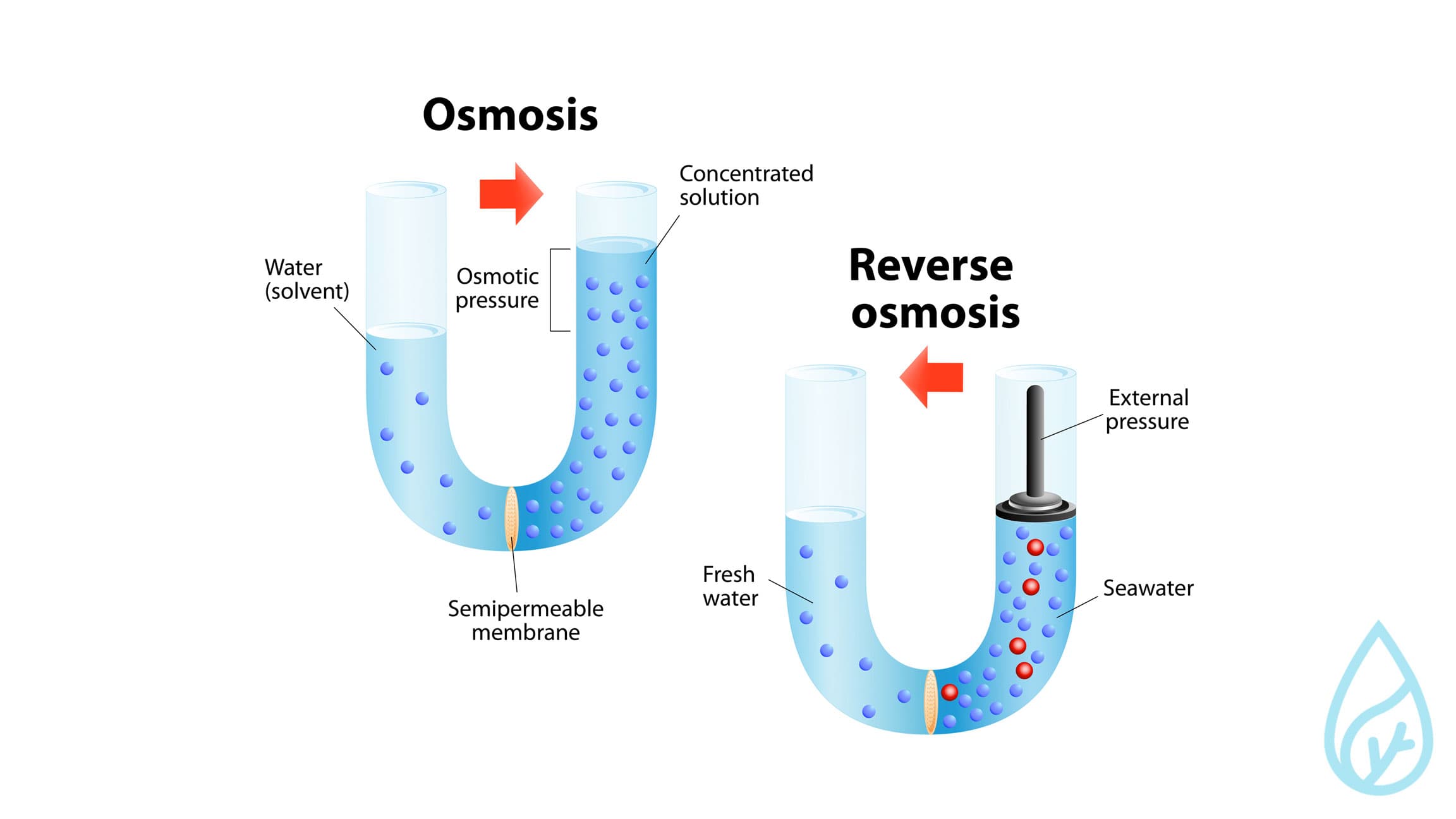 What Are Reverse Osmosis (RO) Water Filters?