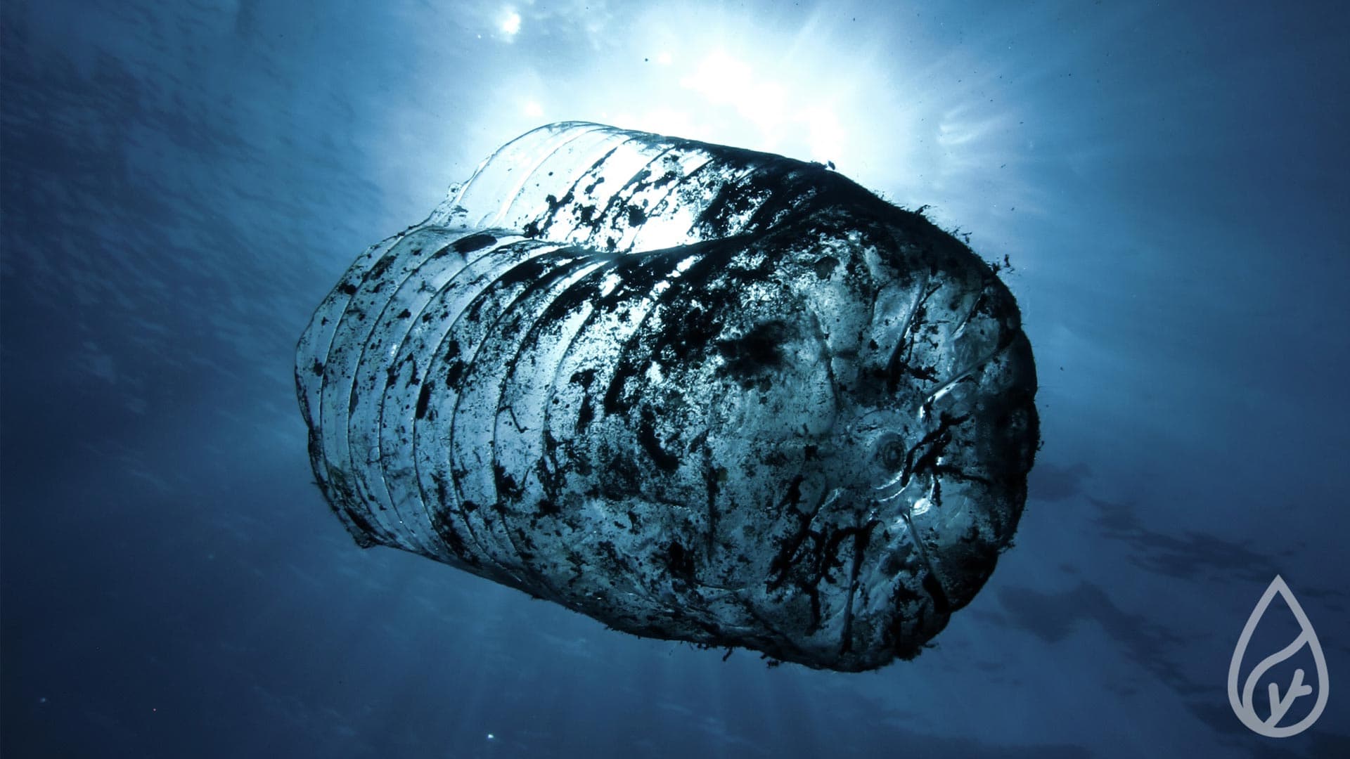 10 Tips for a Sustainable Life: Embrace Green Living Today