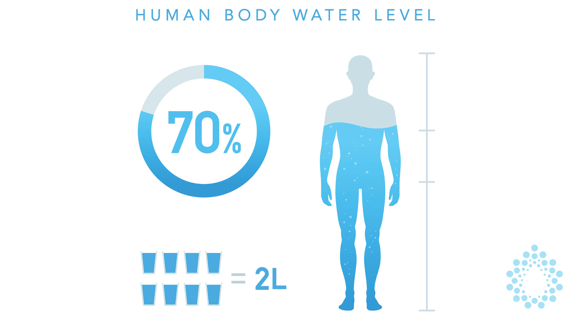 Porcentaje de agua en el cuerpo